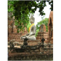 Ayuttaya  buddha-600.jpg